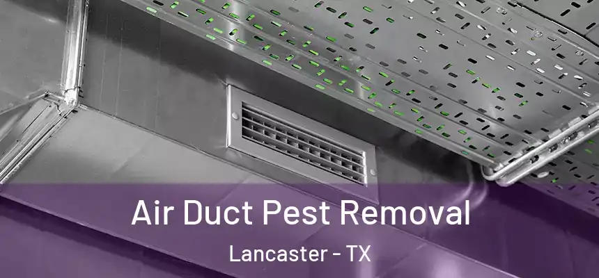  Air Duct Pest Removal Lancaster - TX