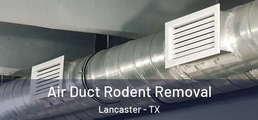 Air Duct Rodent Removal Lancaster - TX