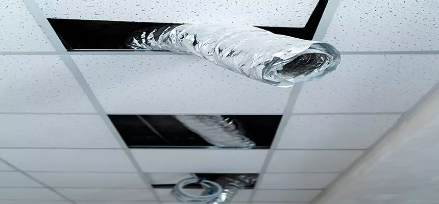 Our Air Duct Pet Hair Removal Services in Lancaster, TX