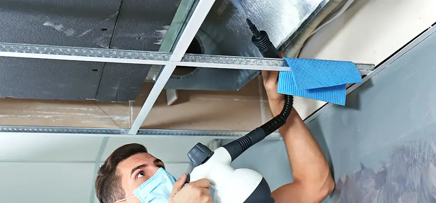 Our Air Duct Rodent Removal Services in Lancaster, TX