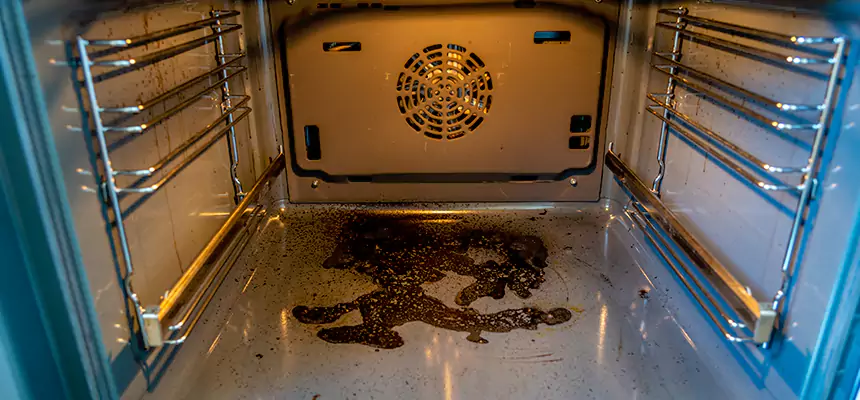 Our Dryer Vent Mold Cleaning Services in Lancaster, TX