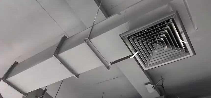 Our Pest Removal From Ducts Services in Lancaster, TX