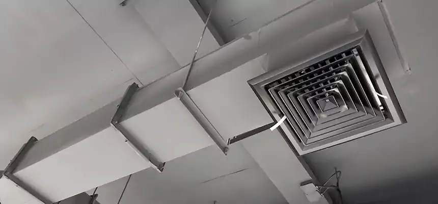 Our Rodent Droppings In Vents Services in Lancaster, TX