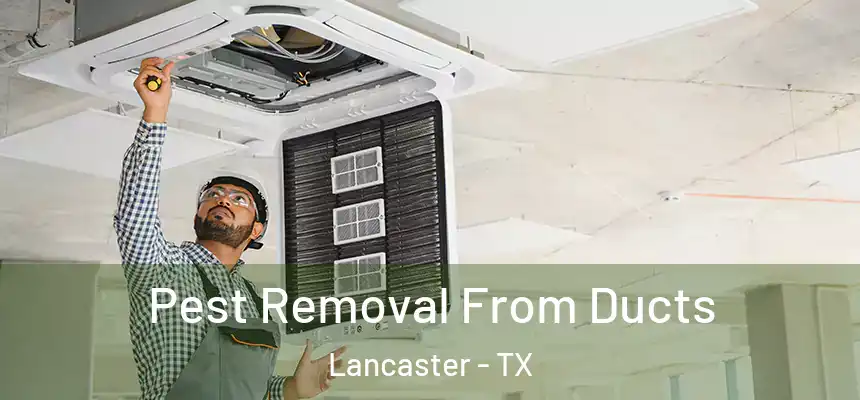 Pest Removal From Ducts Lancaster - TX