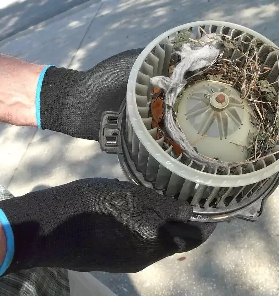 About Air Duct Rat Removal in Lancaster, TX