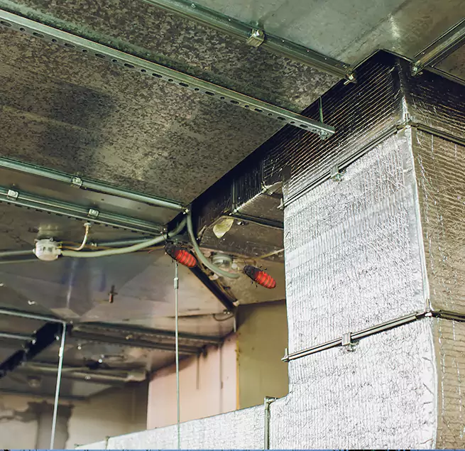 Why Homeowners & Businesses Trust Us in Lancaster, TX?