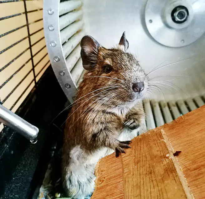 Why Homeowners & Businesses Trust Us Lancaster, TX